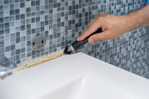 Best Fast Mold Removal  in Piermont, NY