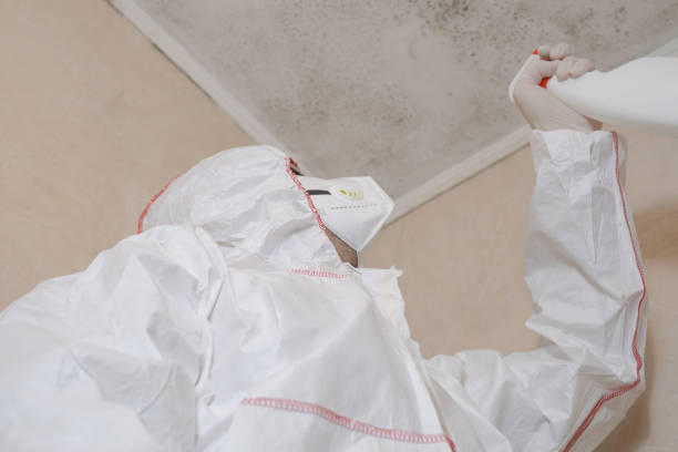 Best Mold Testing  in Piermont, NY